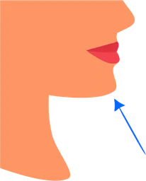 chin.webp